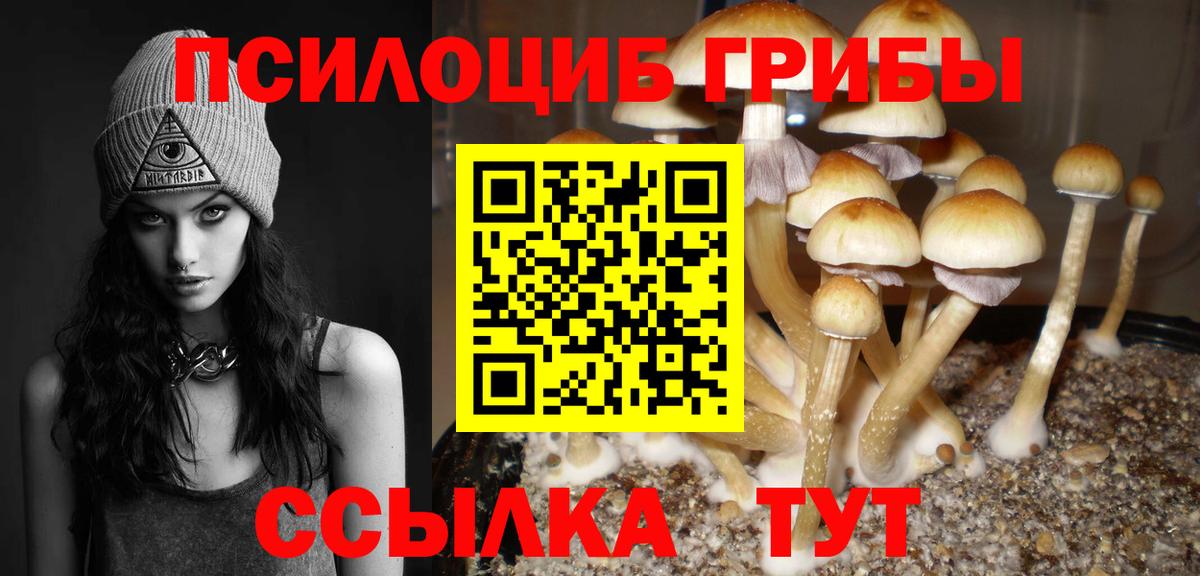 Галлюциногенные грибы Magic Shrooms Ростов Великий