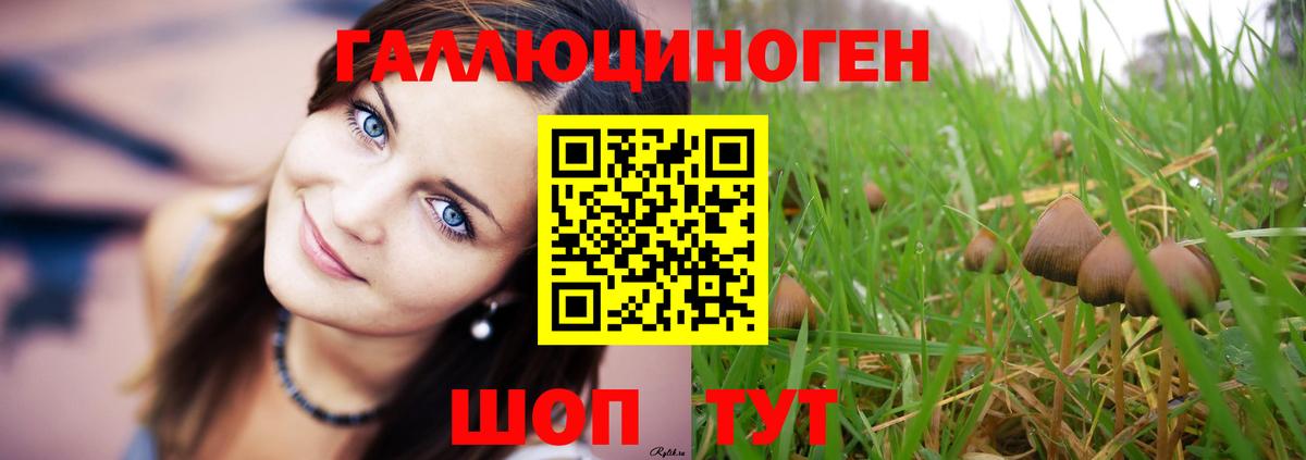 Галлюциногенные грибы Psilocybine cubensis  Вход с VPN  Ростов Великий 